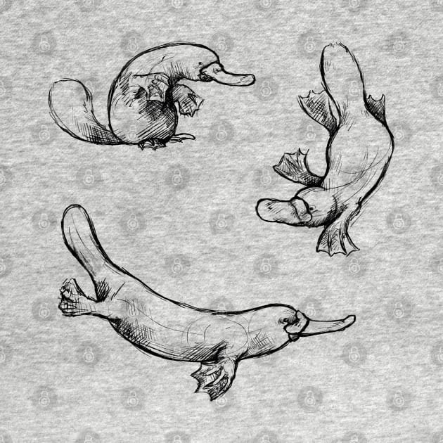 Sketches of a Platypus by AniaArtNL